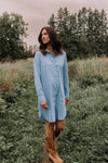 Striped shirt dress - blue combo